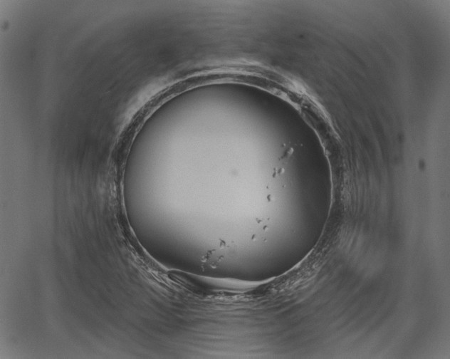 X0000067351360200604030923