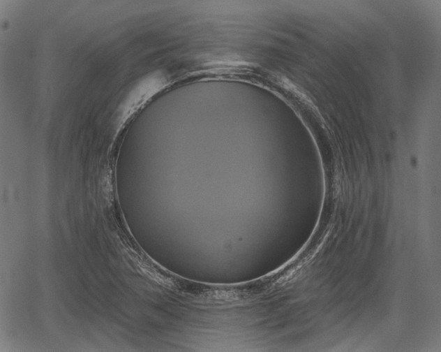 X0000067351362200604030923