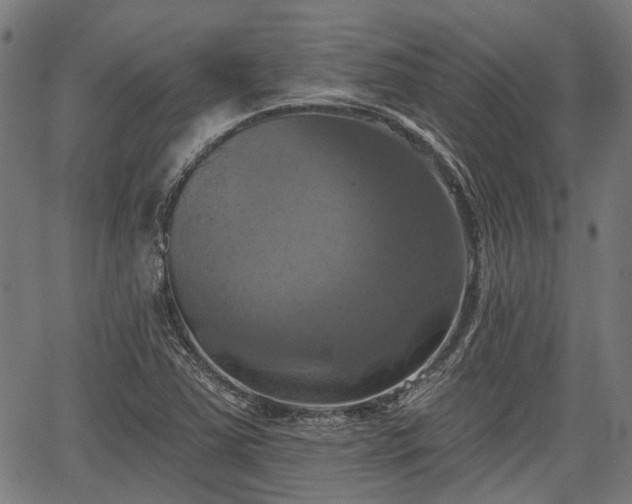 X0000067351363200604030923