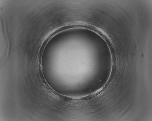 X0000067351364200604030923