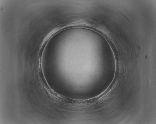 X0000067351366200604030923