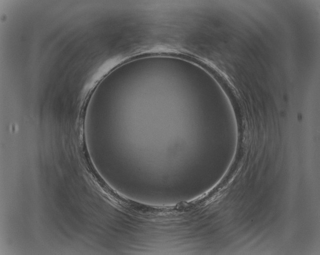 X0000067351367200604030923