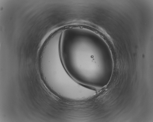 X0000067351368200604030923