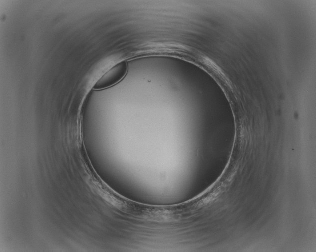 X0000067351370200604030923