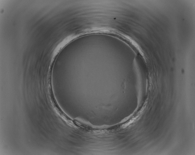 X0000067351373200604030923