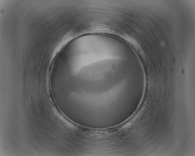 X0000067351374200604030923