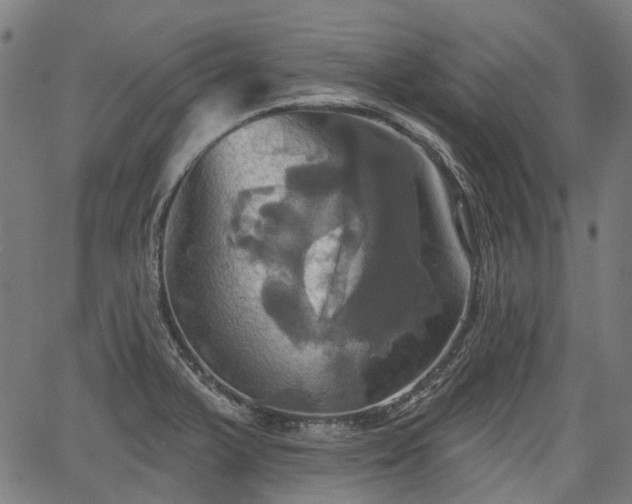 X0000067351375200604030923