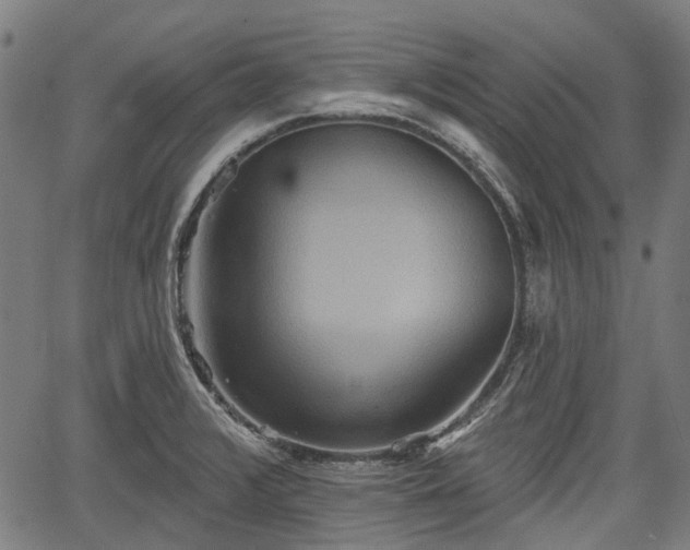 X0000067351376200604030923