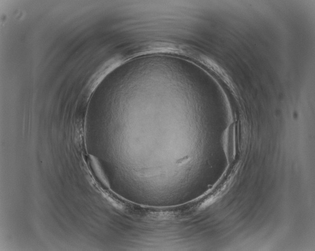 X0000067351377200604030923