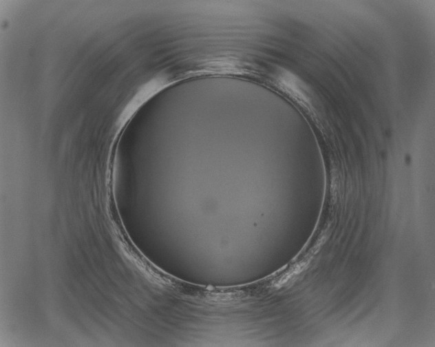 X0000067351378200604030923