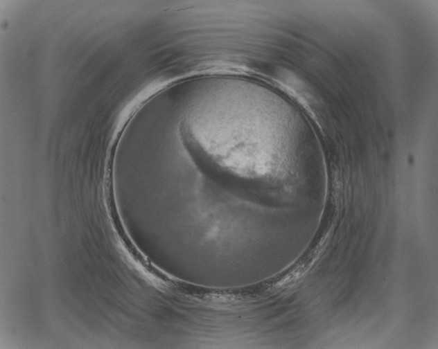 X0000067351379200604030923