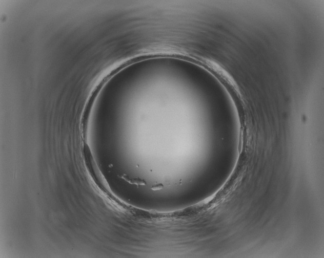 X0000067351380200604030923