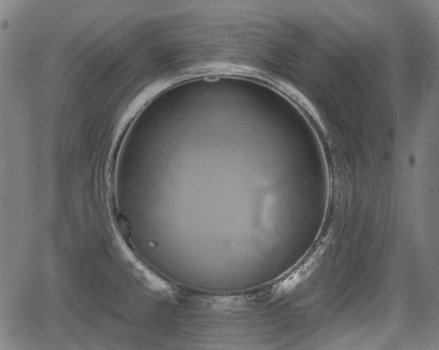 X0000067351381200604030923