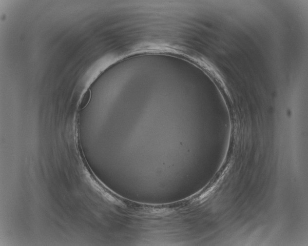 X0000067351382200604030923