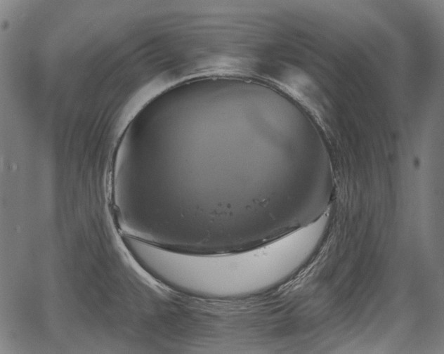 X0000067351383200604030923