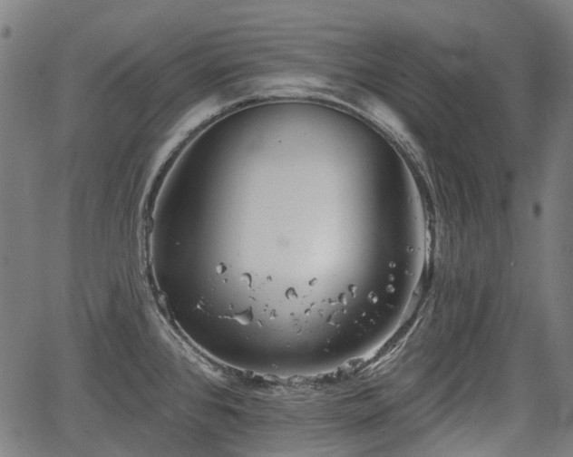 X0000067351384200604030923