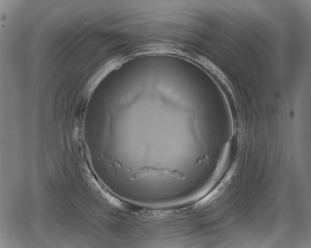 X0000067351385200604030923