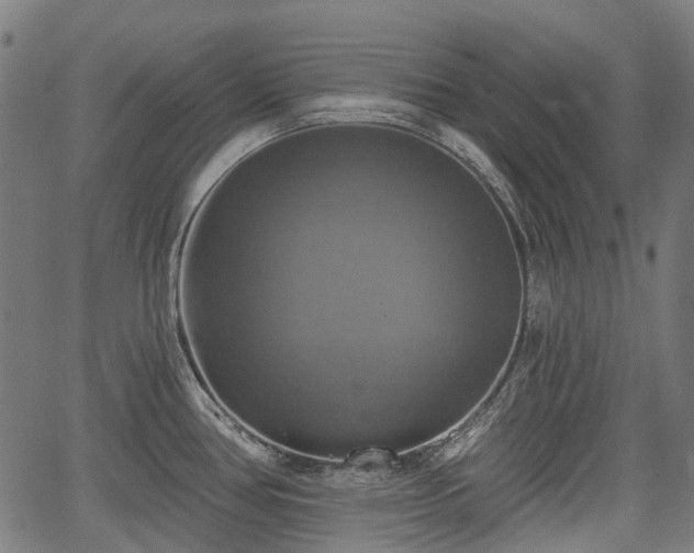 X0000067351386200604030923