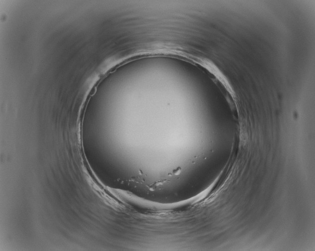 X0000067351388200604030923