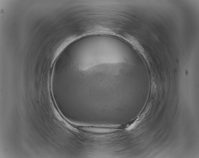 X0000067351390200604030923