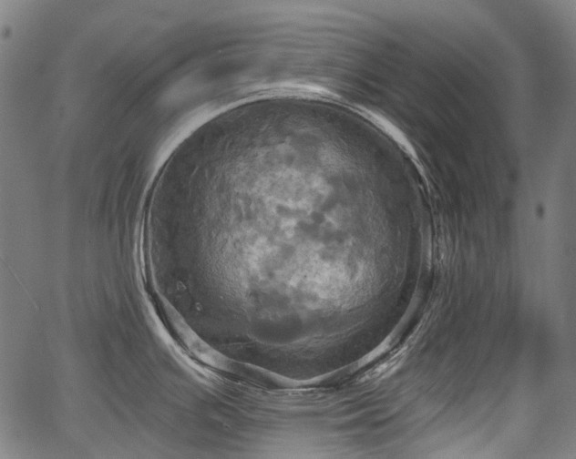 X0000067351391200604030923