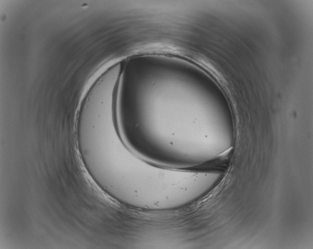 X0000067351392200604030923