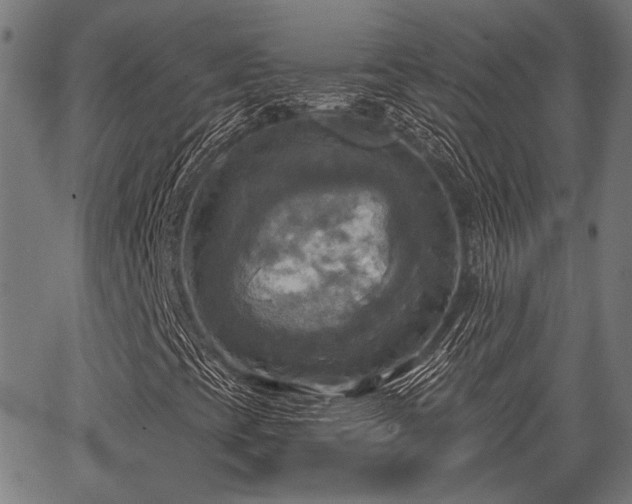 X0000067351393200604030922