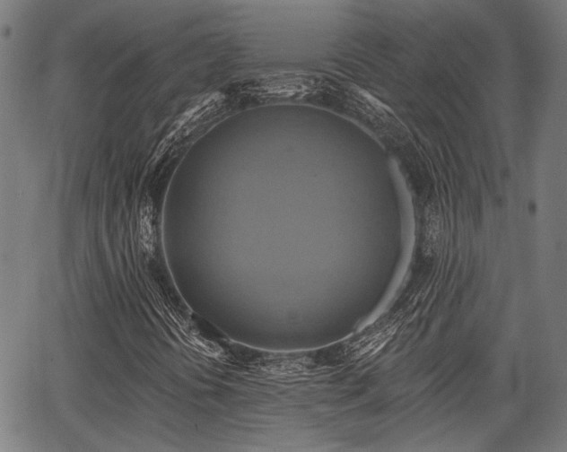 X0000067351394200604030922