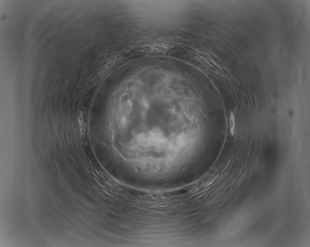 X0000067351395200604030922