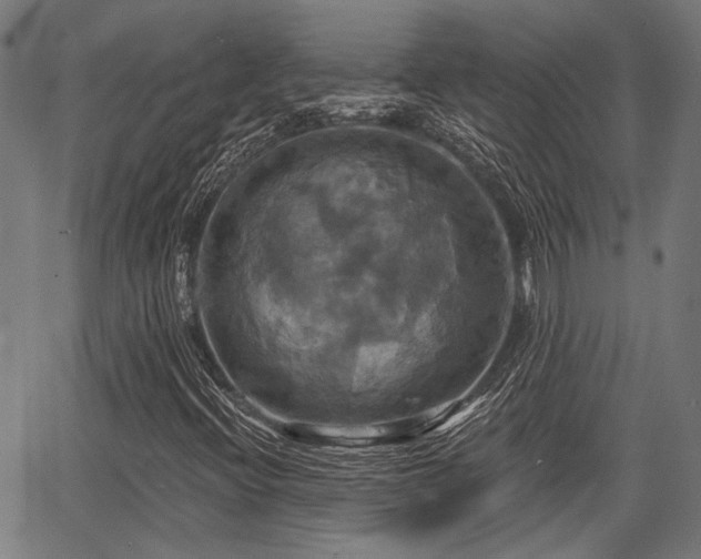 X0000067351396200604030922