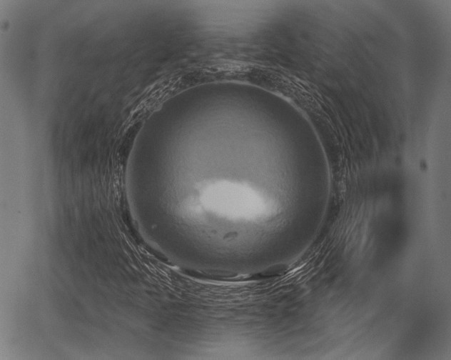 X0000067351397200604030922