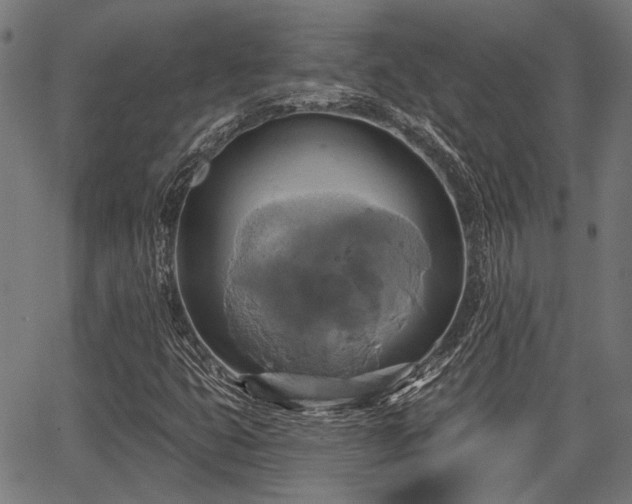 X0000067351399200604030922