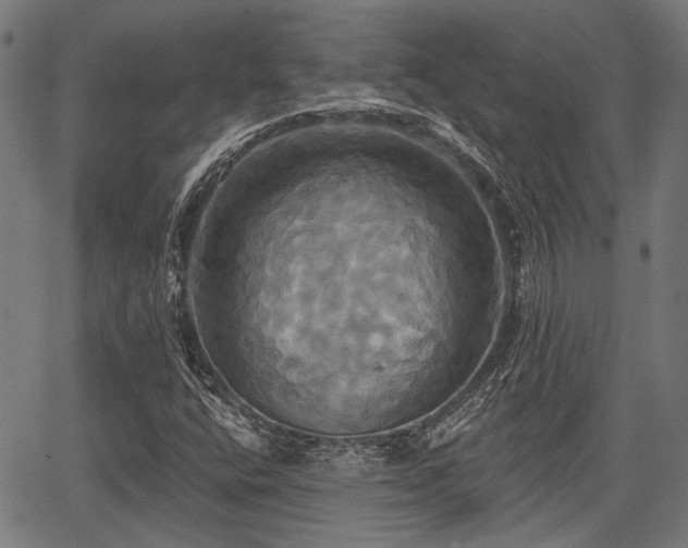 X0000067351400200604030922