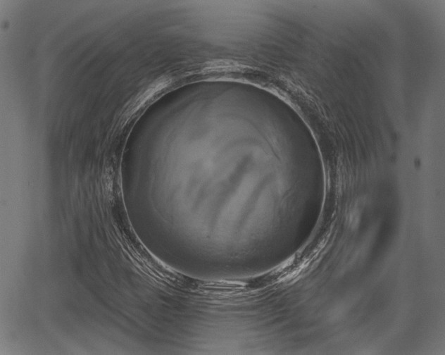 X0000067351401200604030922