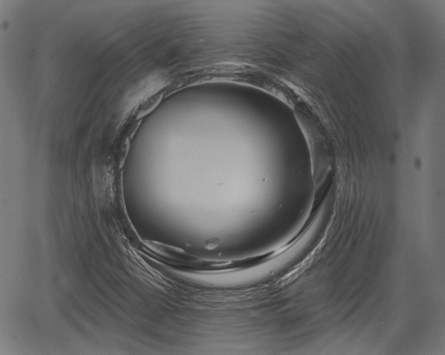 X0000067351402200604030922