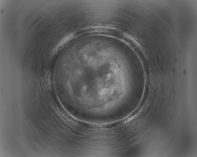 X0000067351403200604030922