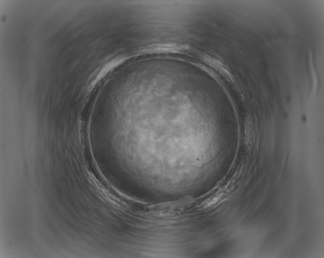 X0000067351404200604030922