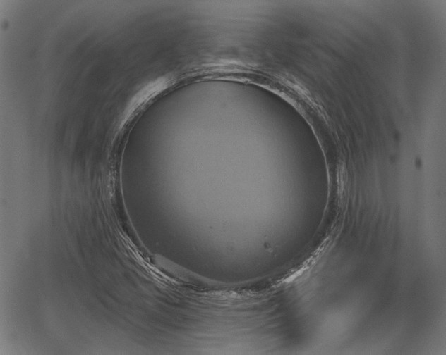 X0000067351405200604030922