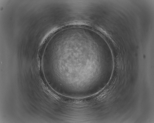 X0000067351408200604030922