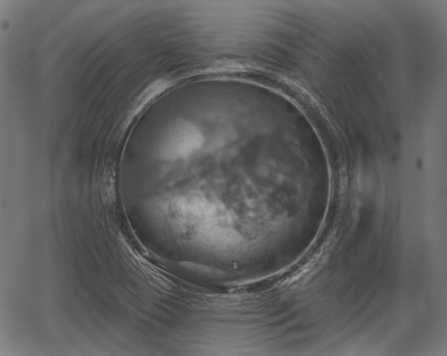 X0000067351409200604030922