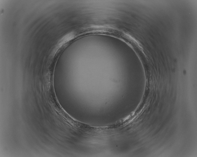 X0000067351411200604030922