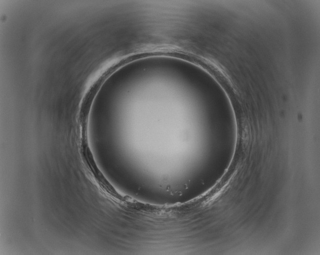 X0000067351414200604030922