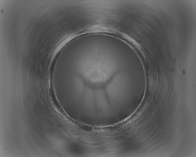 X0000067351415200604030922