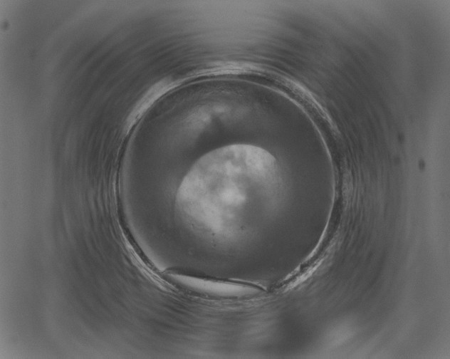 X0000067351417200604030923