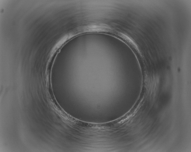 X0000067351419200604030923