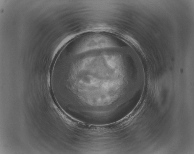 X0000067351420200604030923