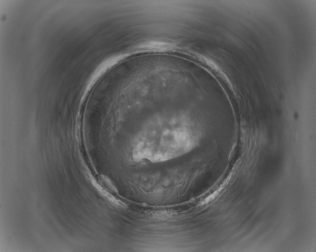 X0000067351421200604030923