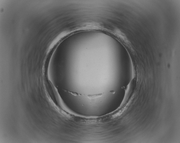 X0000067351422200604030923