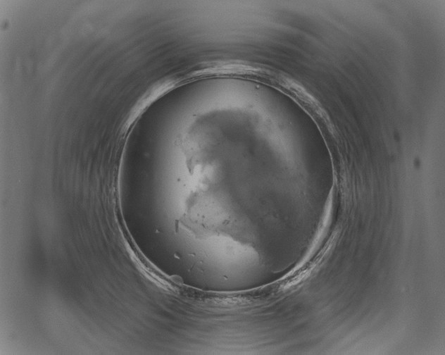 X0000067351425200604030923