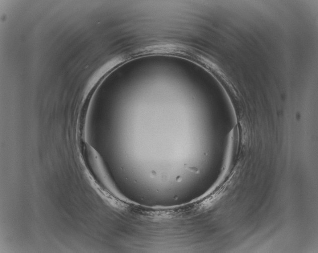 X0000067351426200604030923